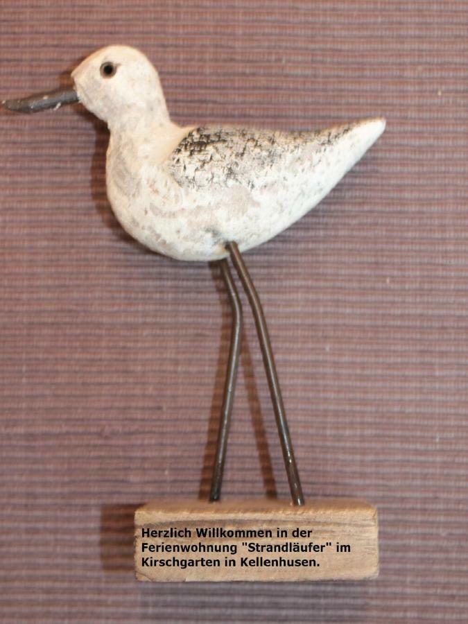 Strandlaeufer Im Kirschgarten Kellenhusen Esterno foto